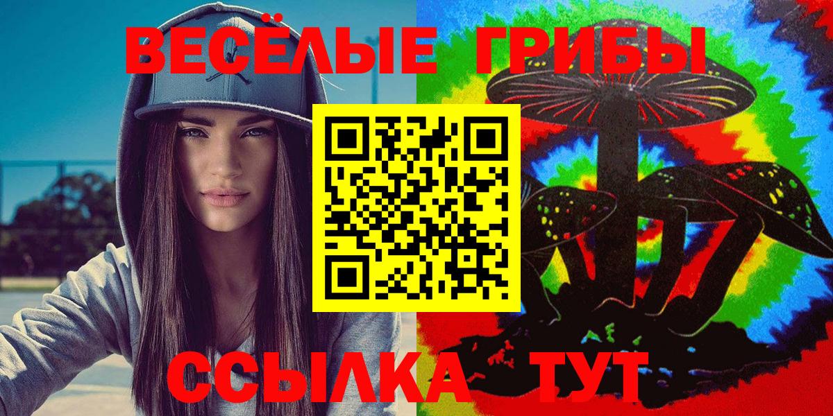 Галлюциногенные грибы MAGIC MUSHROOMS  Псилоцибиновые грибы Magic Shrooms  дарнет шоп  Спасск-Дальний  Вход с VPN 