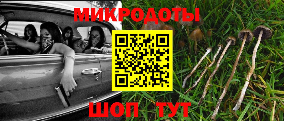 Псилоцибиновые грибы Psilocybine cubensis Спасск-Дальний